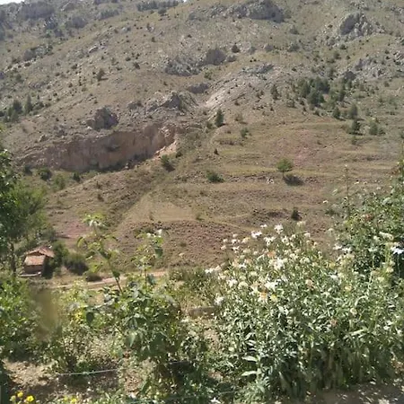 アパート Casa Concha *