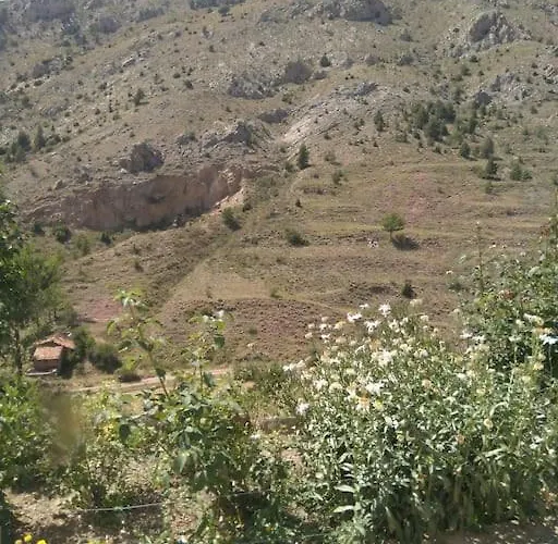 Appartamento Casa Concha *